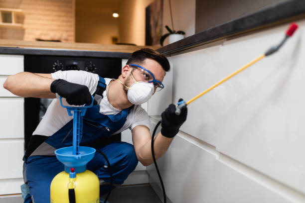 Best Rat Extermination Near Me  in Portage, IN