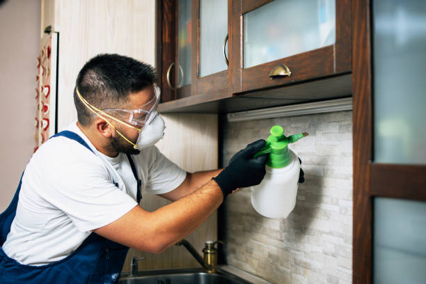 Best Cockroach Control Services  in Portage, IN