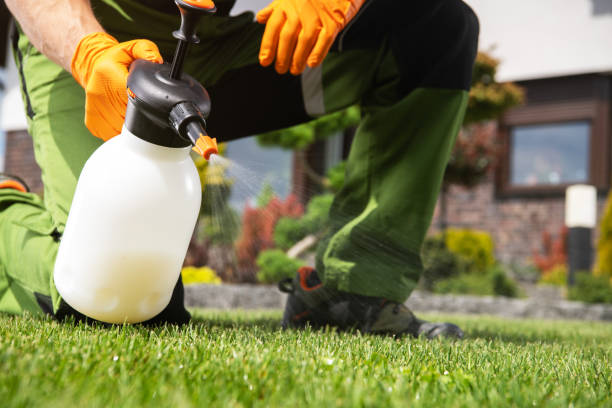 Best Emergency Pest Control  in Portage, IN