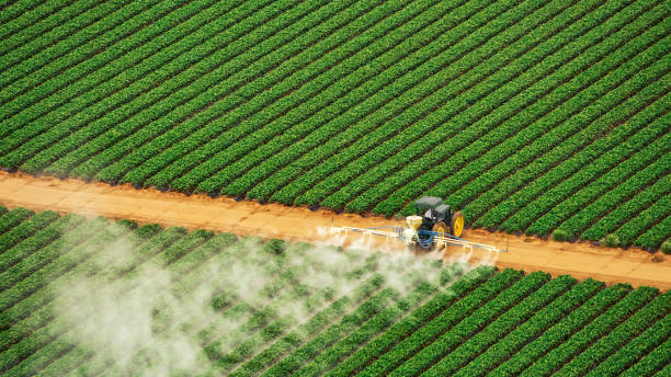 Best Pest Removal Services  in Portage, IN