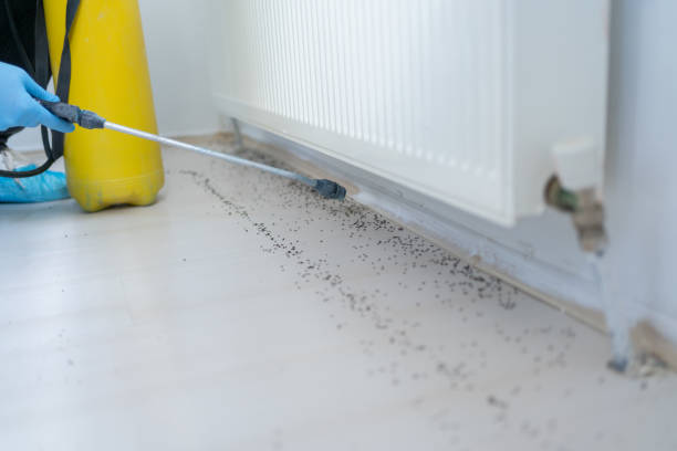 Flea Control Services in Portage, IN